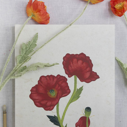 하늘거리는 붉은 꽃 양귀비 민화 그리기 DIY 키트