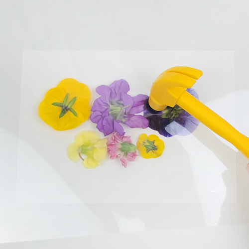 꽃 엽서 만들기 패키지 DIY/KIT 망치질 식용꽃 꽃편지 10인용 (1 ~ 2주전 예약)